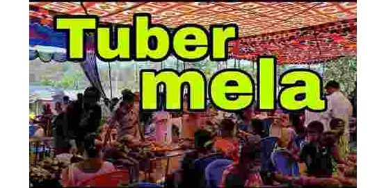 Dharwad Tuber and Roots Mela