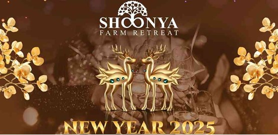 New Year 2025 Extravaganza In Woods Shoonya Resort