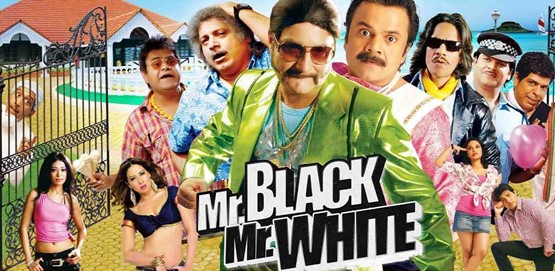 Mr Black Mr White Movie Poster