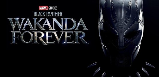 Black Panther: Wakanda Forever  Movie Poster